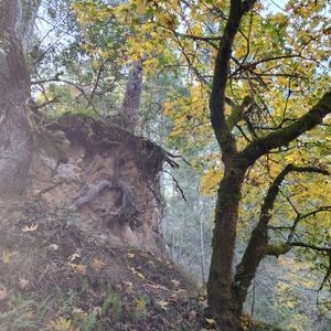 Meet your Posher, Erick